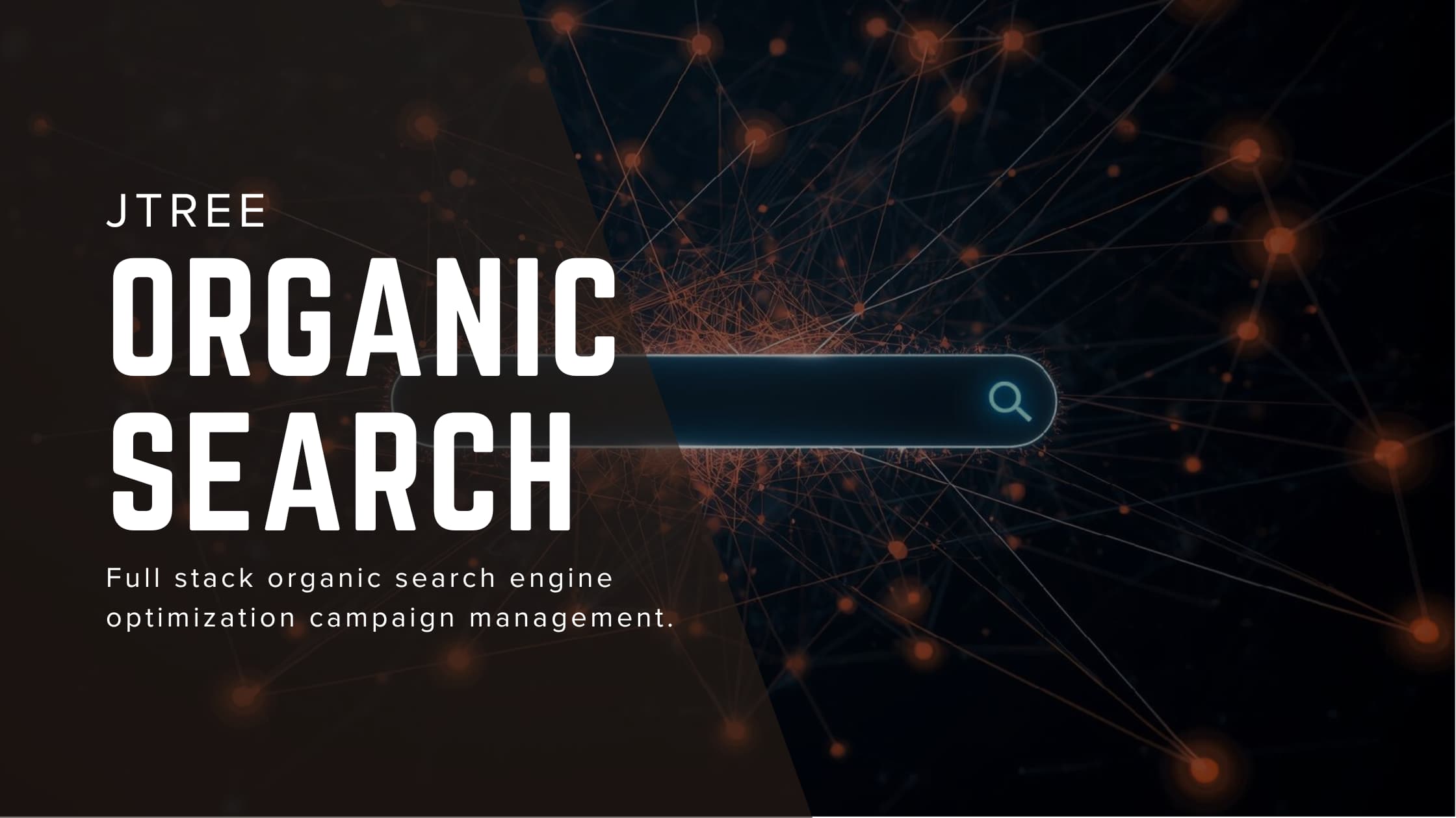 Organic Search Optimization